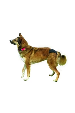 Trixie Bugyi XL Fekete 60-70cm