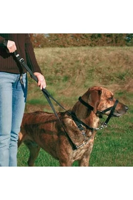 Trixie Top Trainer Halti - 46cm - XL