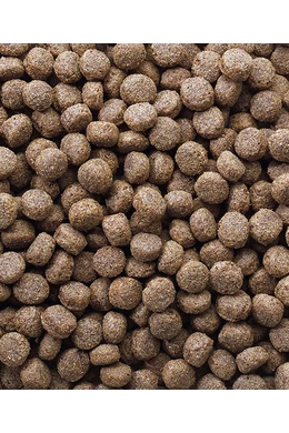 Classic Oké Puppy - 10kg