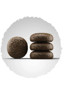 Josera Dog - Festival 12,5kg