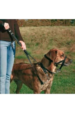 Trixie Top Trainer Halti - 22cm - S