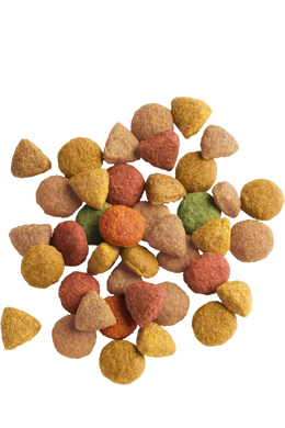 Lara Száraztáp Pulyka és Csirke - 2kg