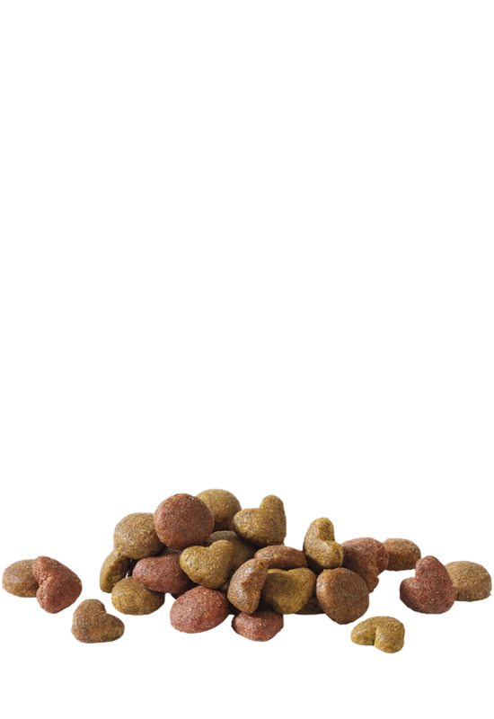 Happy Life Adult Salmon - 3kg