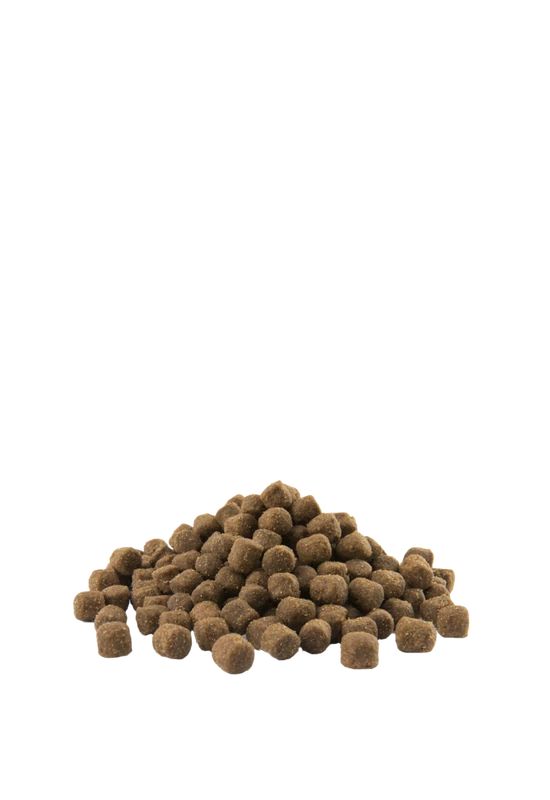 Versele-Laga Opti-Life ADULT SKIN CARE MINI salmon & rice - Lazacos 2,5kg