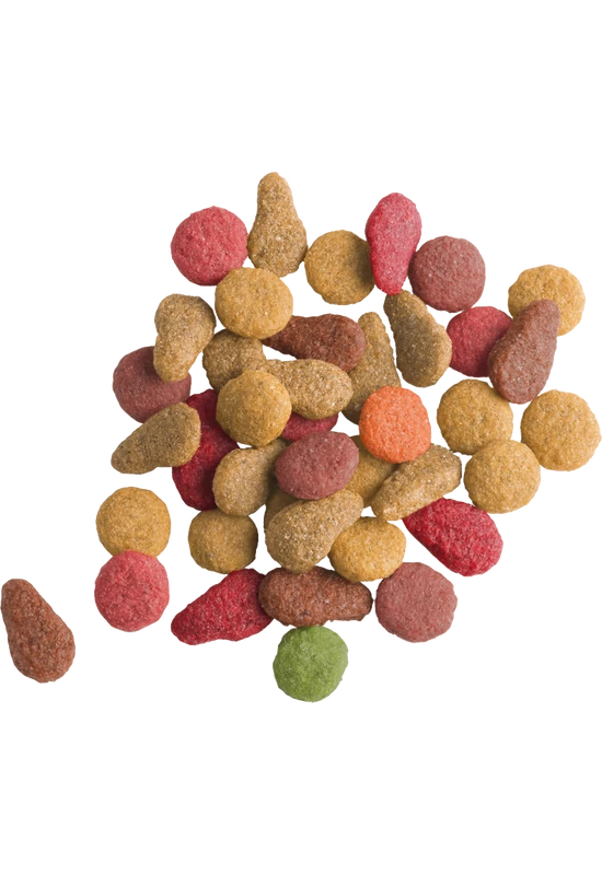 Versele-Laga Lara Száraztáp Lazac 2kg