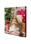 Trixie Xmas Adventi Naptár Kutyáknak