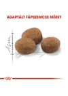 Royal Canin Sterilised 7+ Cat - 10kg