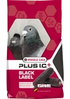 Plus I.C. Black Label Gerry - 20kg