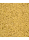 Versele-Laga Orlux GOLD PATEE SMALL PARAKEETS - Tojásos lágyeleség hullámos papagájnak 1kg