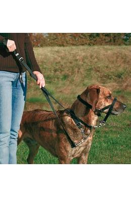 Trixie Top Trainer Halti - 22cm - S