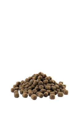Opti Life Adult Digestion Mini Lamb &amp;amp; Rice - Bárányos - 2,5kg