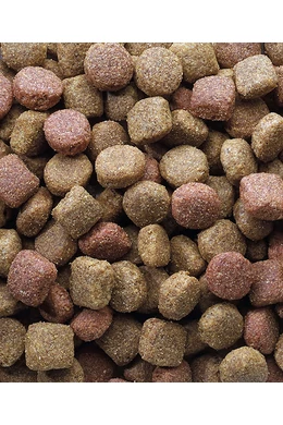 Classic Oké Duo Crok - 20kg