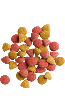 Lara Száraztáp Sterilized - 2kg
