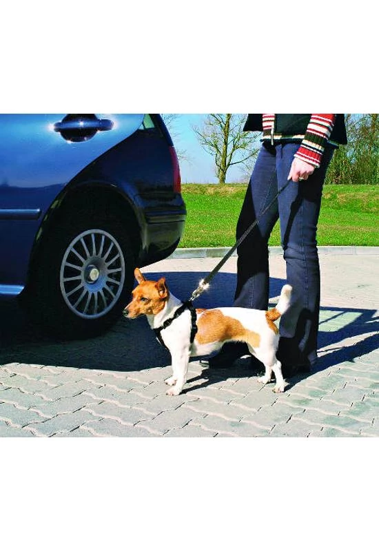 Trixie Autós Biztonsági Őv és Hám - 15mm×20-50cm - XS