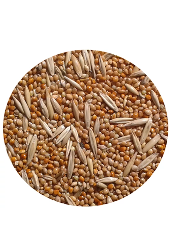 Trópus - Eleség 10kg Hullámos Papagáj