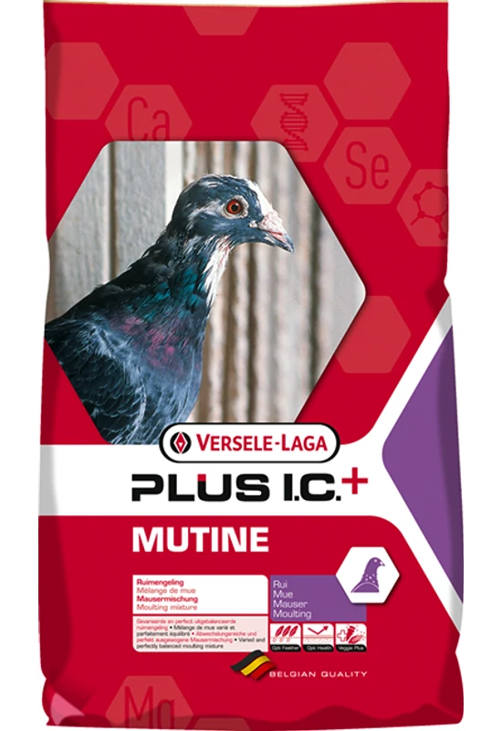 Plus I.C. Mutine Plus I.C.+ Moulting - 20kg
