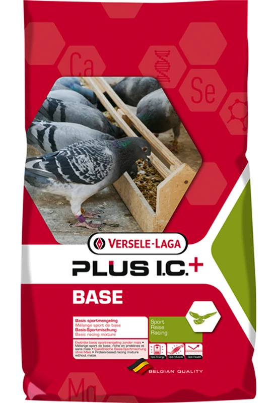 Plus I.C. Base Plus I.C.+ Basic Mixture - 20kg