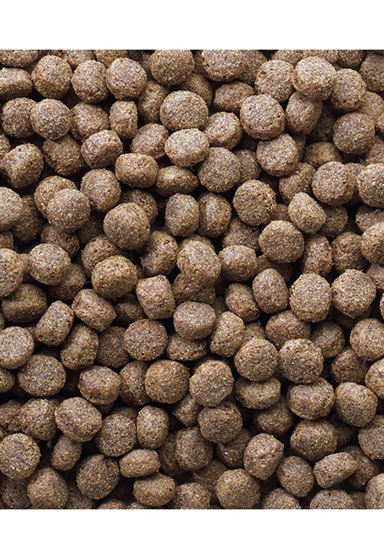 Classic Oké Puppy - 10kg