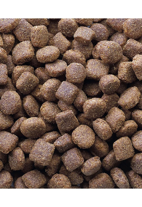 Classic Oké Bárányhússal & Rizs - 20kg