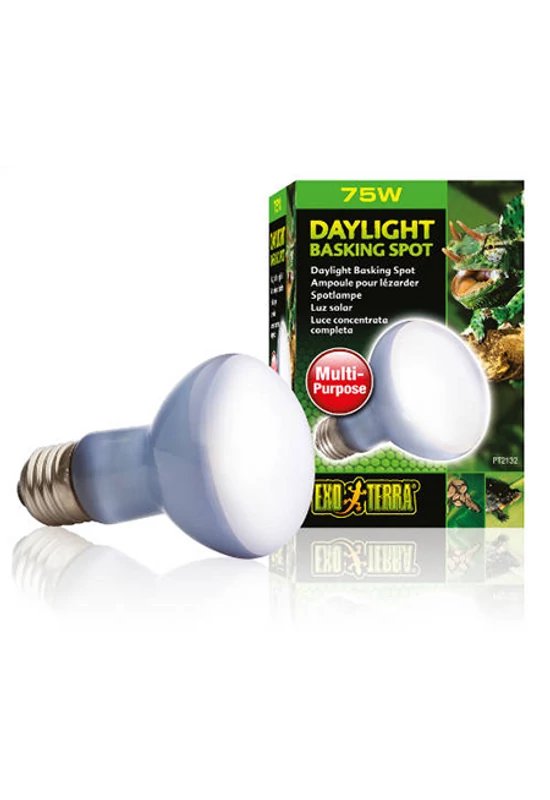 Exo Terra Daylight Basking Spot - Nappali Spotlámpa 50w
