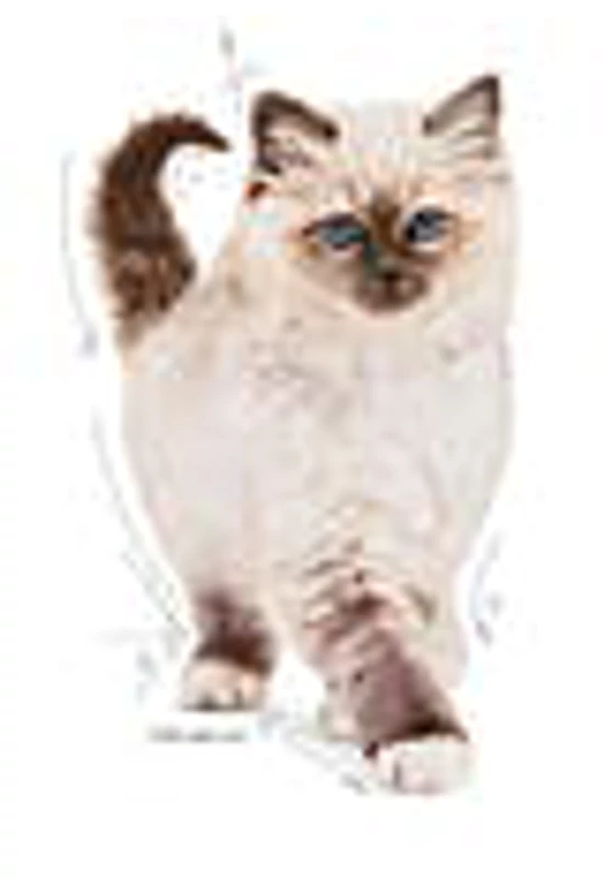 Royal Canin Kitten Cat 0,4kg