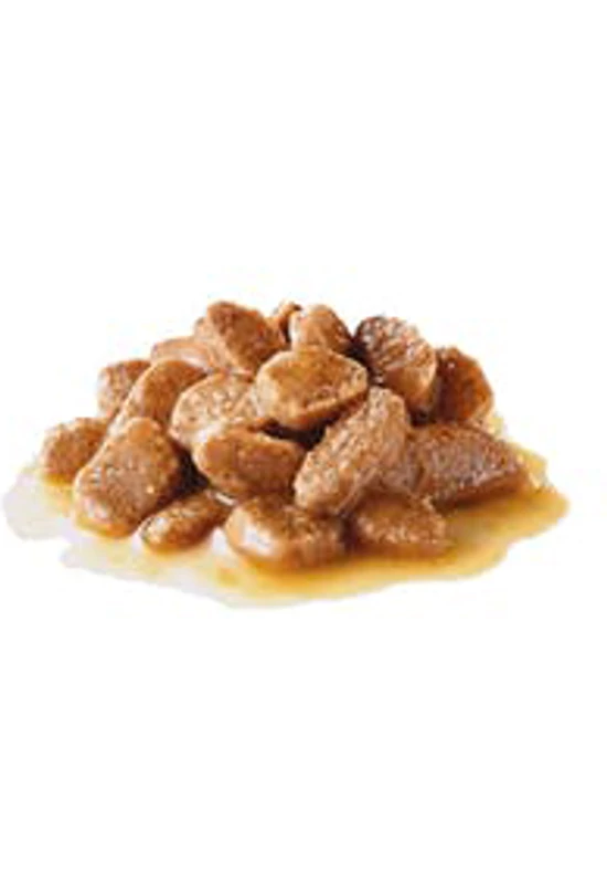 Royal Canin Shn Wet Mini Adult Dog 12×85g