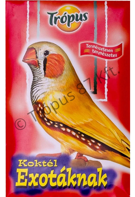 Trópus - Koktél Exota - Pintyeknek 50ml