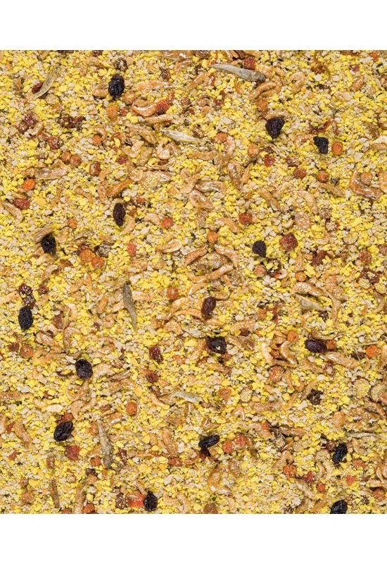 Versele-Laga Orlux EGGFOOD DRY BIG PARAKEETS & PARROTS - Tojásos lágyeleség óriás papagájnak 800g
