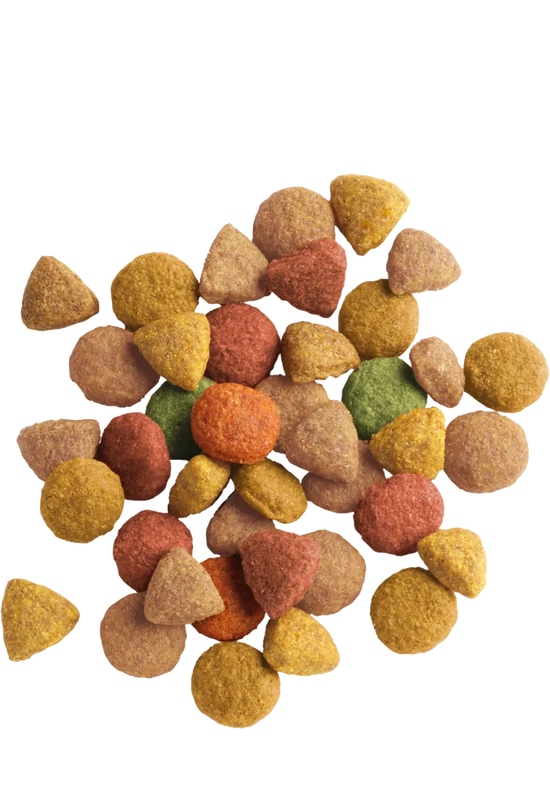 Versele-Laga Lara Száraztáp Pulyka és Csirke 2kg