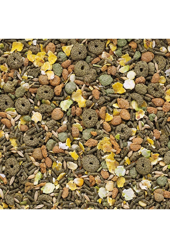 Versele-Laga Classic CAVIA - tengerimalac 500g