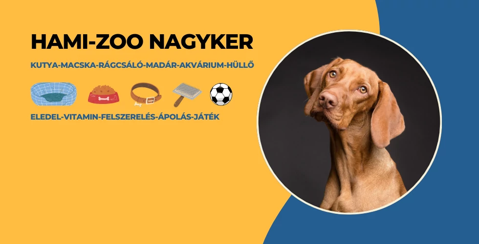 regisztrálok
